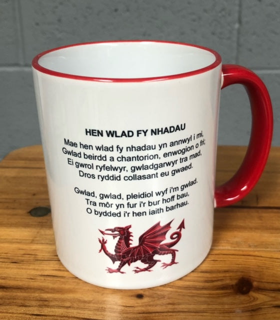 Mwg Cymru / Wales Mug
